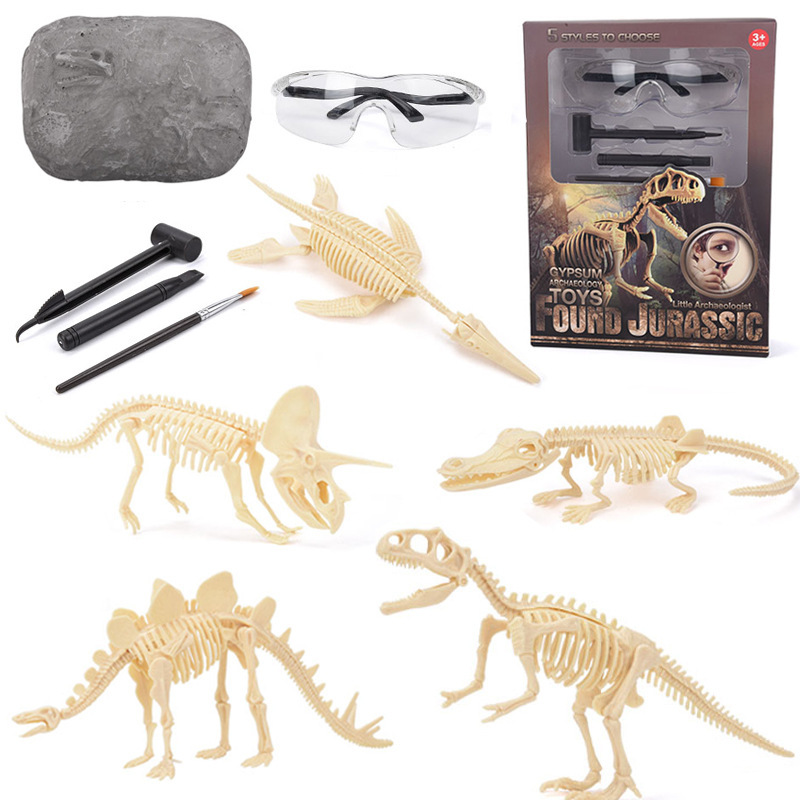 Model Kit For Girls - Kit Penggalian Fosil Dinosaurus STEM Menggali